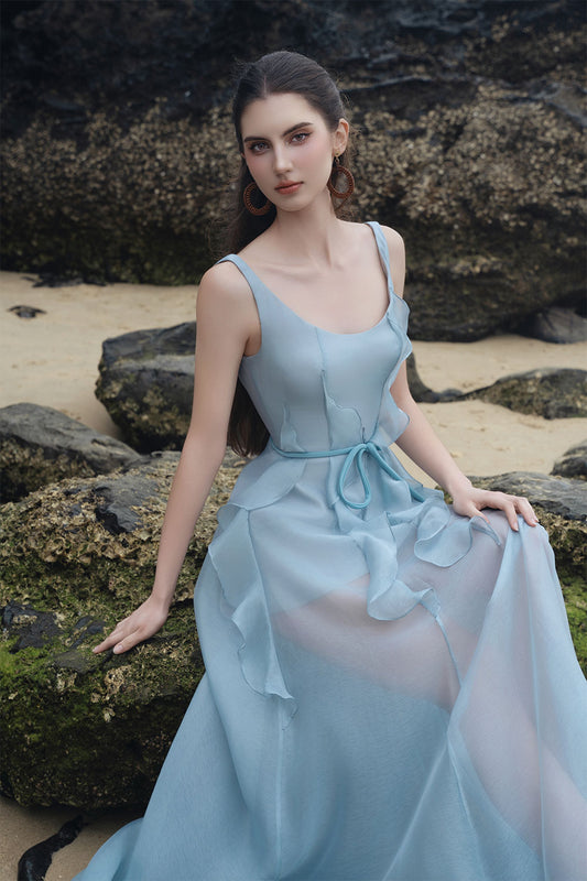 Felix A-line Loose Strap Organza Maxi Dress