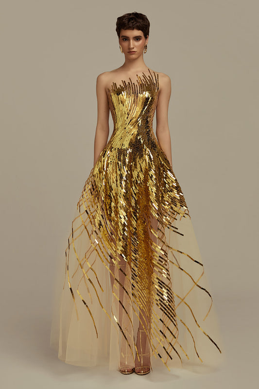 Lustre A-Line Illusion Neck Mesh Floor Length Dress