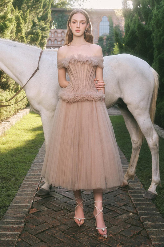 Cinnamon Drop Waist Off-Shoulder Mesh Midi Dress - MEAN BLVD