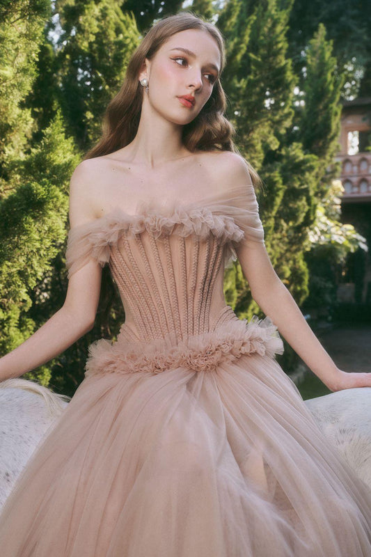 Cinnamon Drop Waist Off-Shoulder Mesh Midi Dress - MEAN BLVD