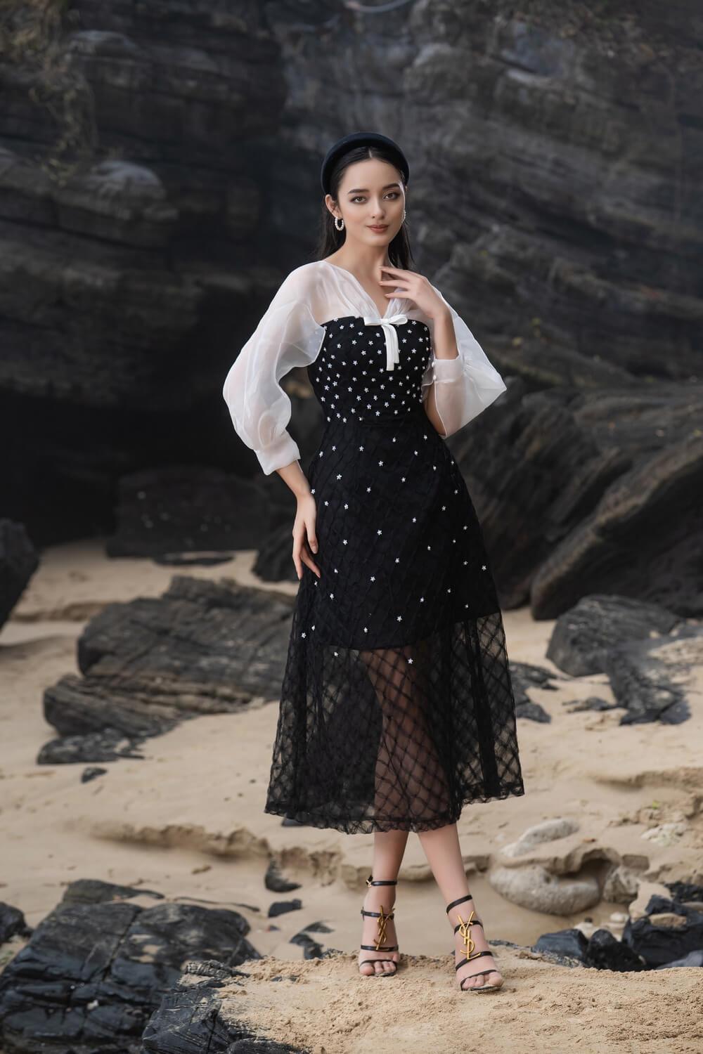 see through sheer midi dress Women's Priya A-line See-Through Mesh Sheer Midi Dress XS/S/M/L/XL Black and White /Black and Orange MEAN BLVD XL / Black and White