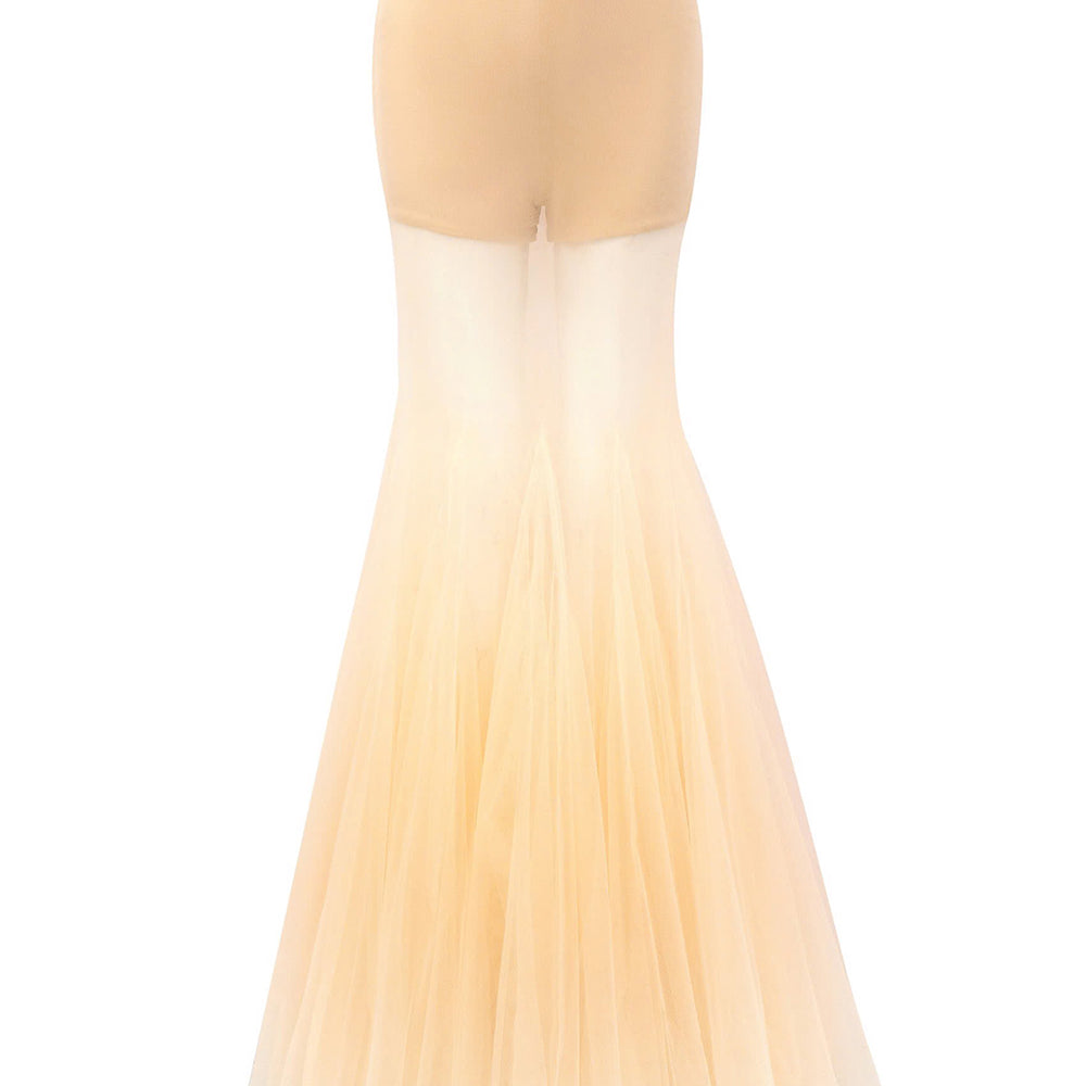Grace Gored See-Through Tulle Floor Length Skirt