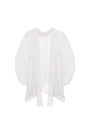 Allison Asymmetric See-Through Organza Top
