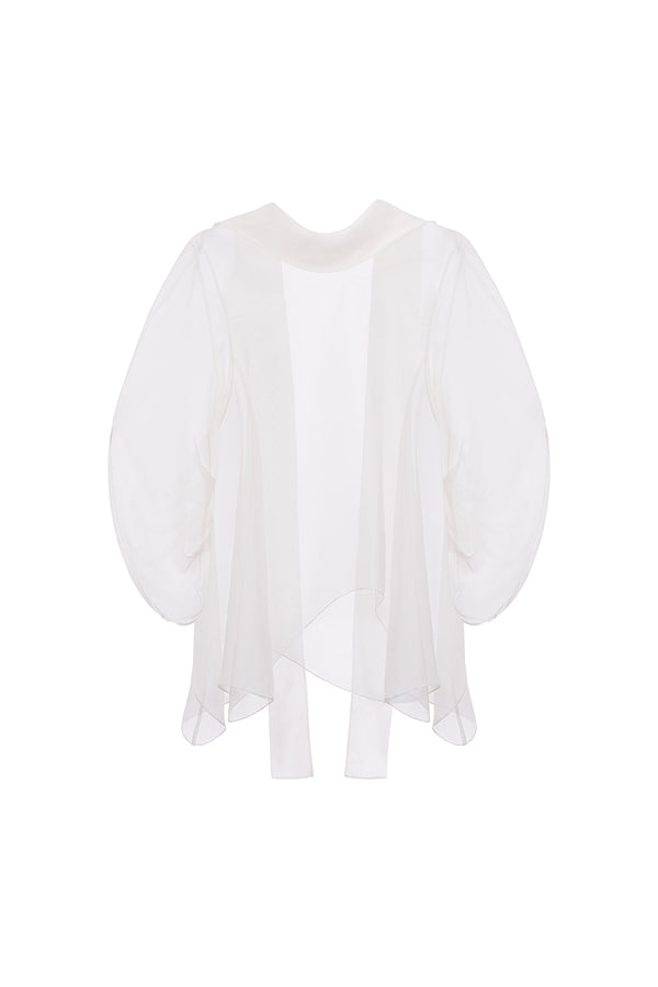 Allison Asymmetric See-Through Organza Top