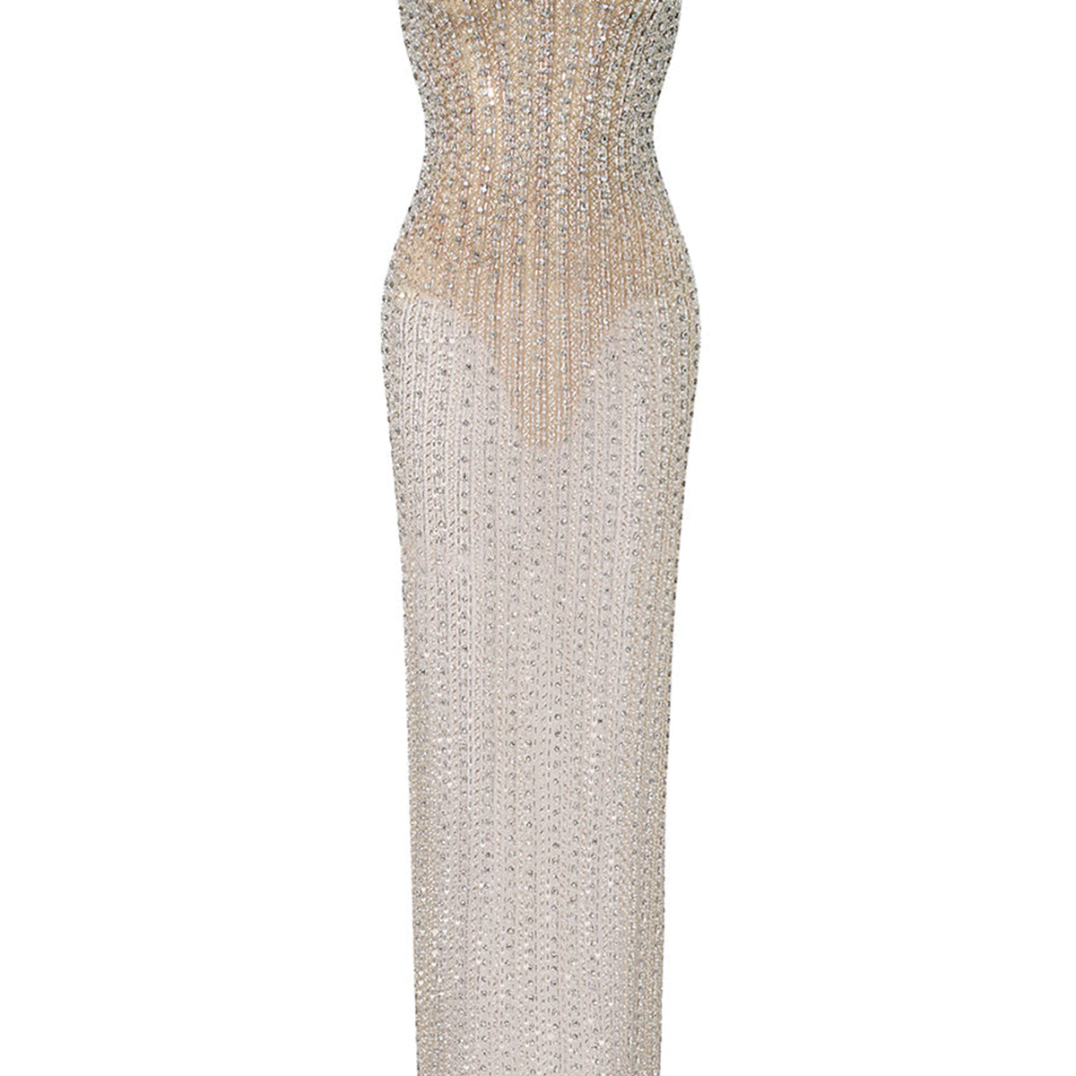 Vihaan Sheath Curved Neck Mesh Floor Length Dress