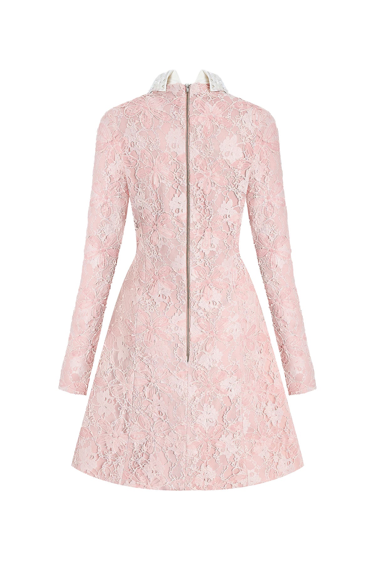 Daisy Collared Mini Dress