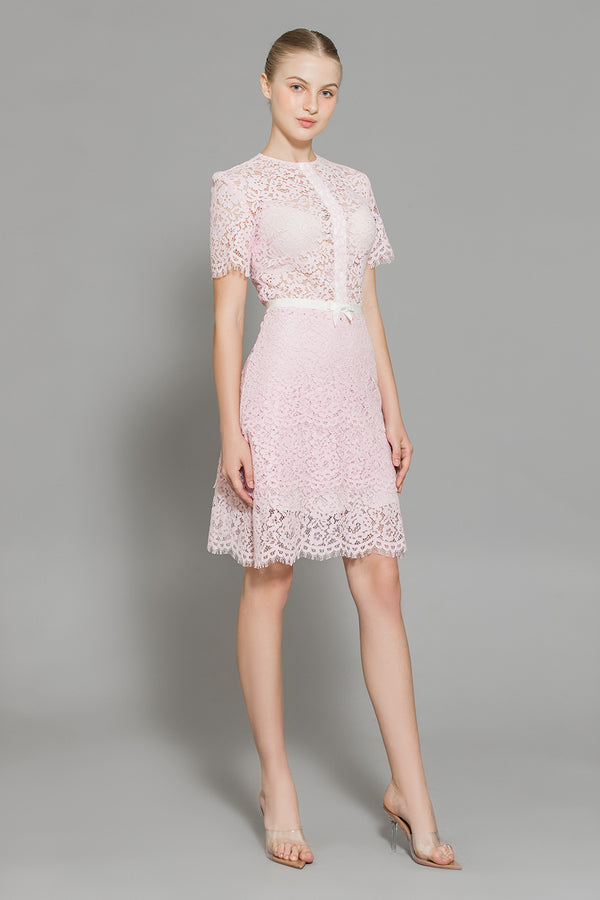 Paulina A-line Round Neck Lace Above The Knee Dress