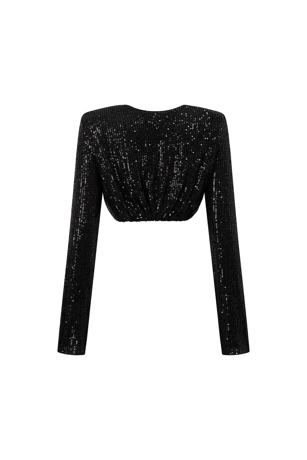 Canyon Cropped Boat Neck Sequin Top