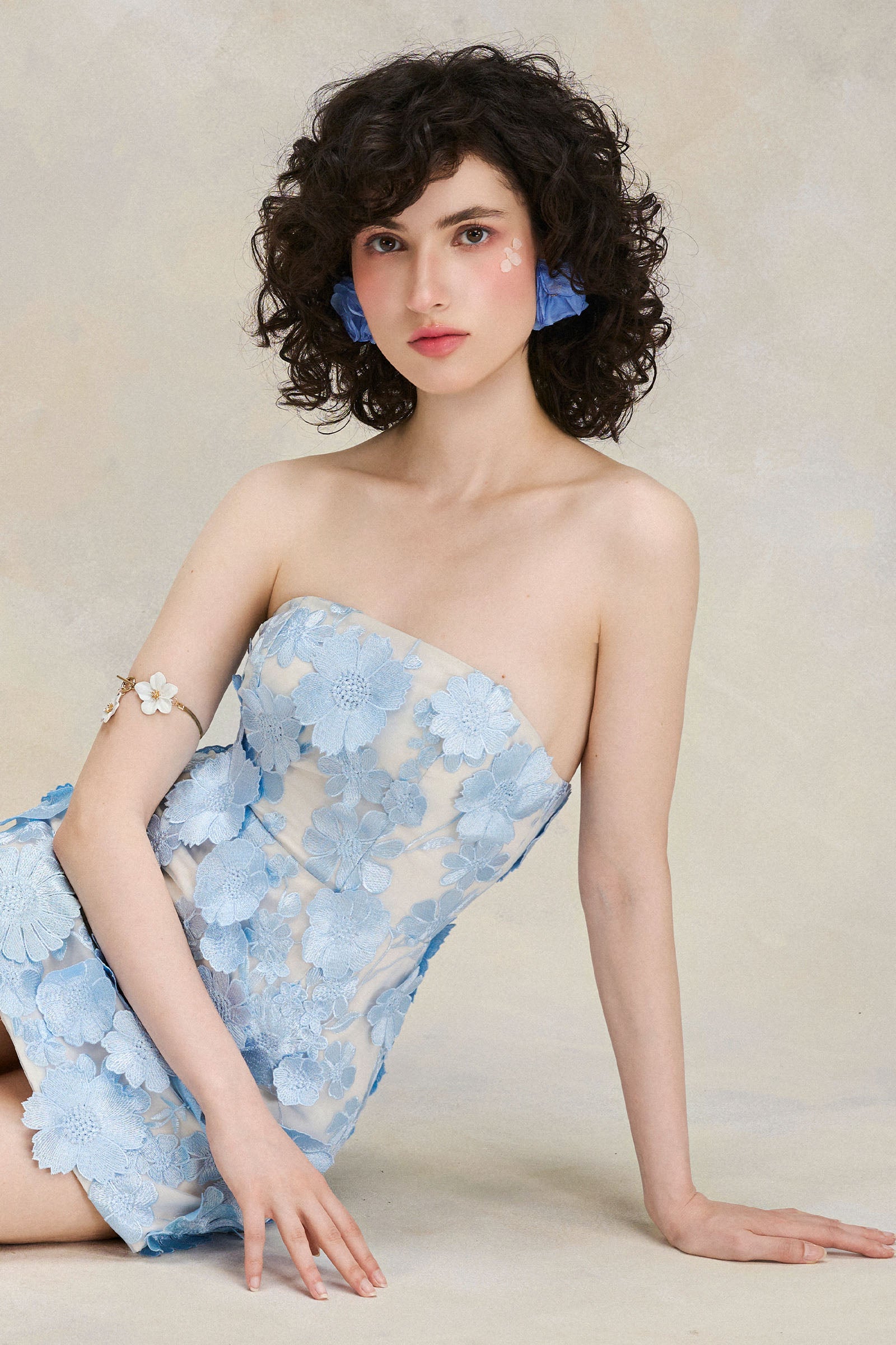 Iris Applique Mini Dress