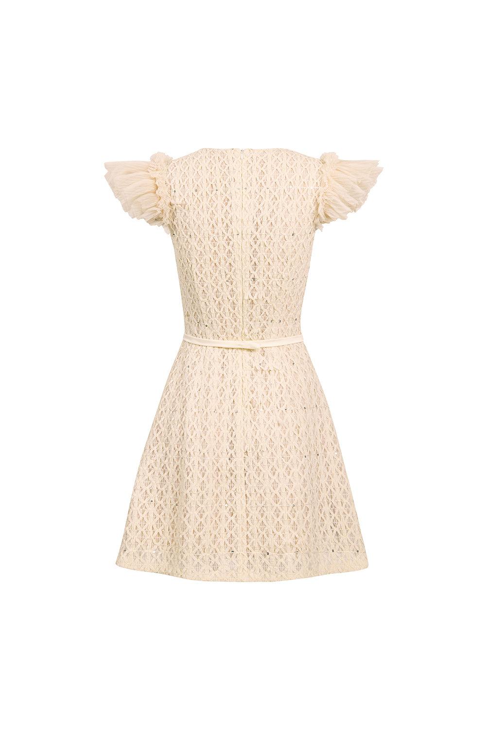 Celia A-line Cap Sleeved Mesh Lace Mini Dress