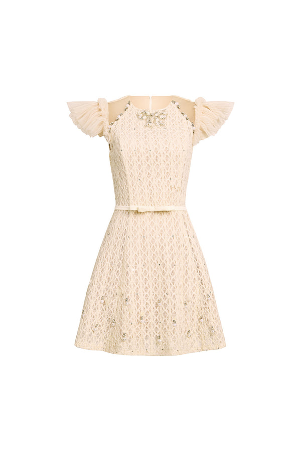 Celia A-line Cap Sleeved Mesh Lace Mini Dress