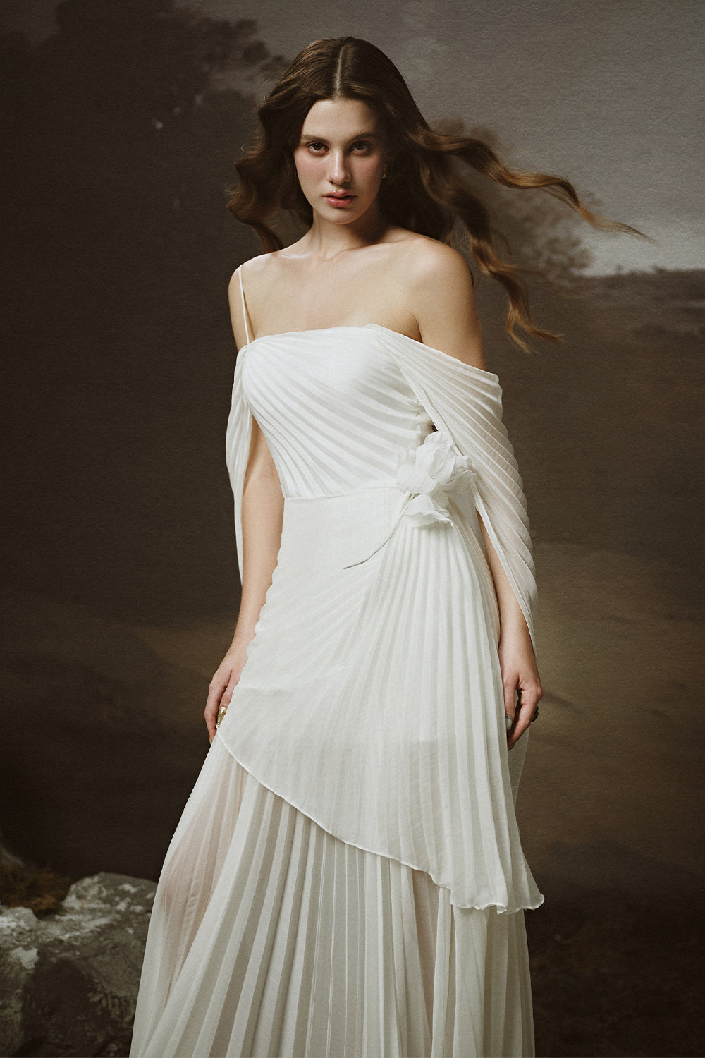 Elysia A-line Cold Shoulder Sleeved Chiffon Floor Length Dress