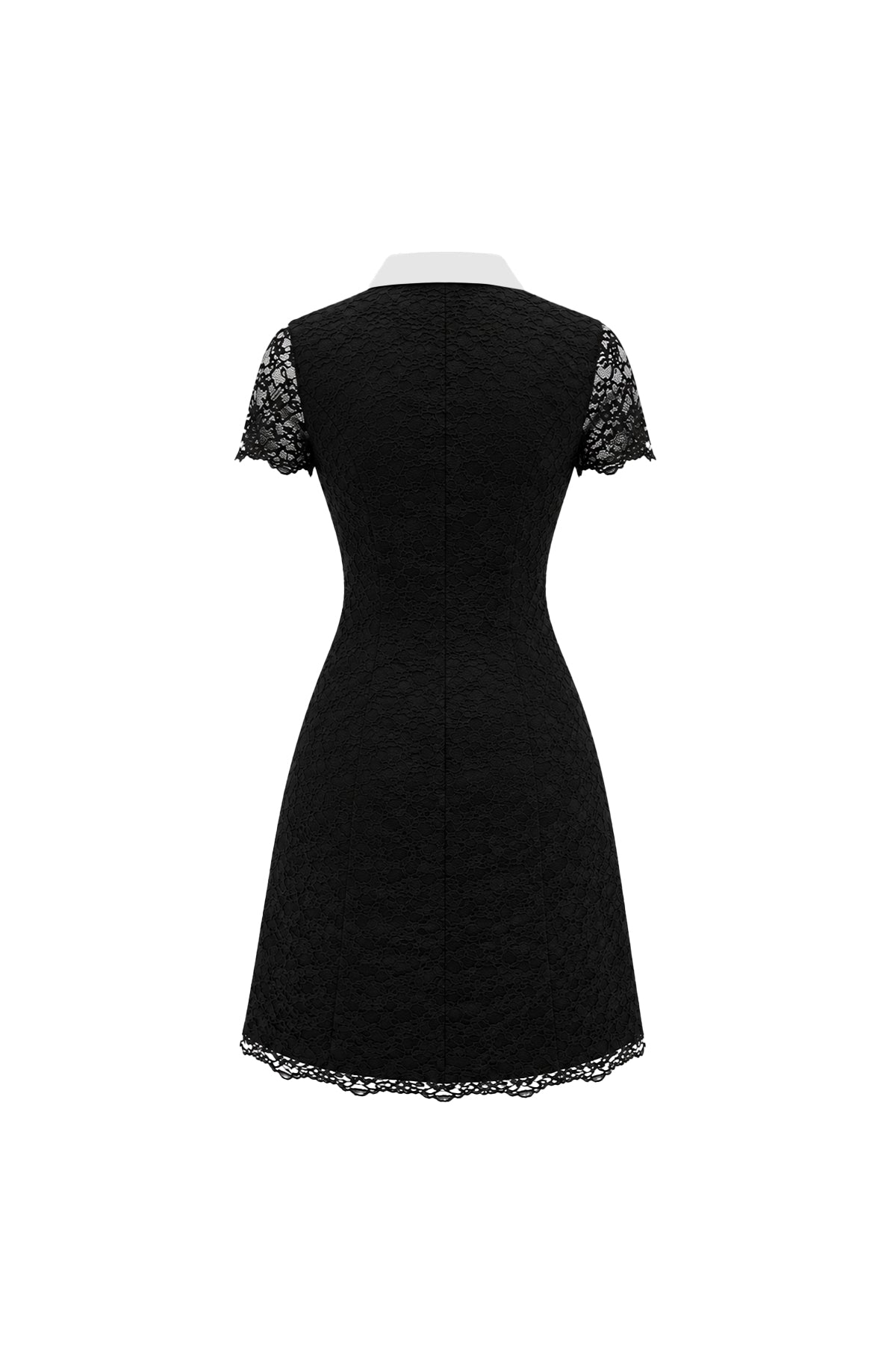 Oryn Collared Mini Dress