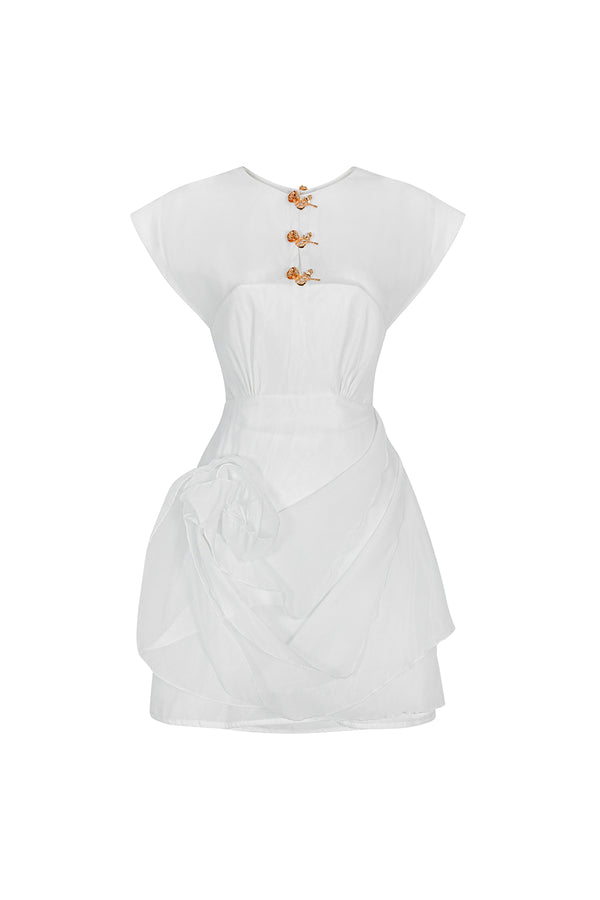 Clover A-line Jewel Neck Organza Mini Dress