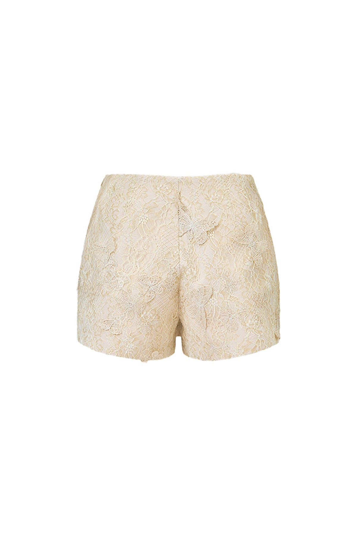 Butterfly Reverie A-line Embroidered Tulle Mini Skort