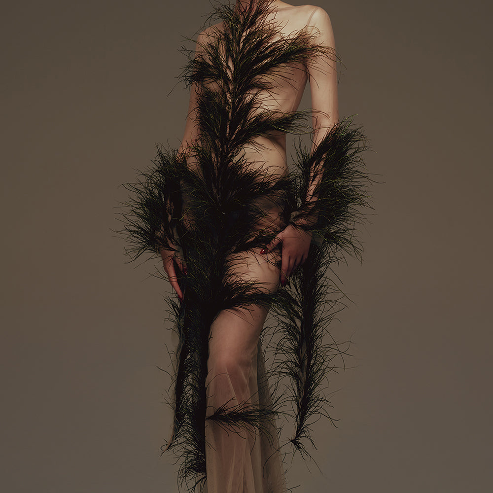 Hera Illusion Feather Maxi Dress