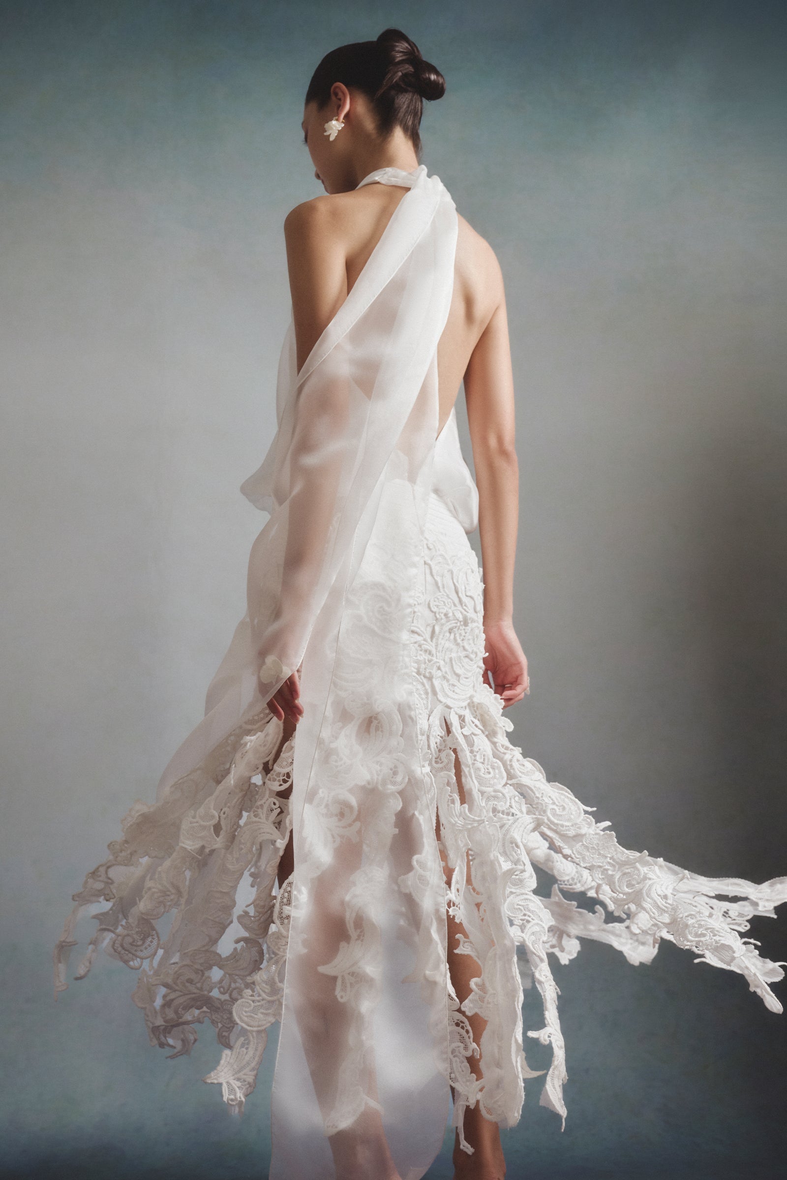 Eclat Applique Midi Dress