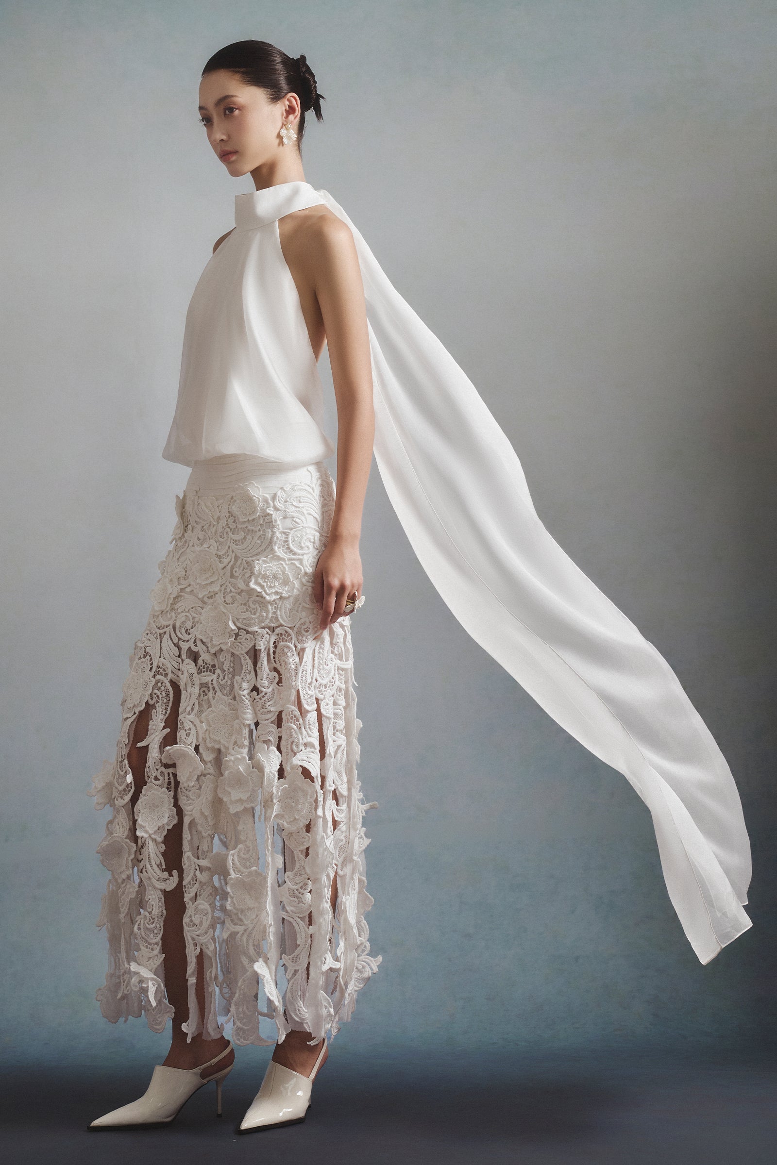 Eclat Applique Midi Dress