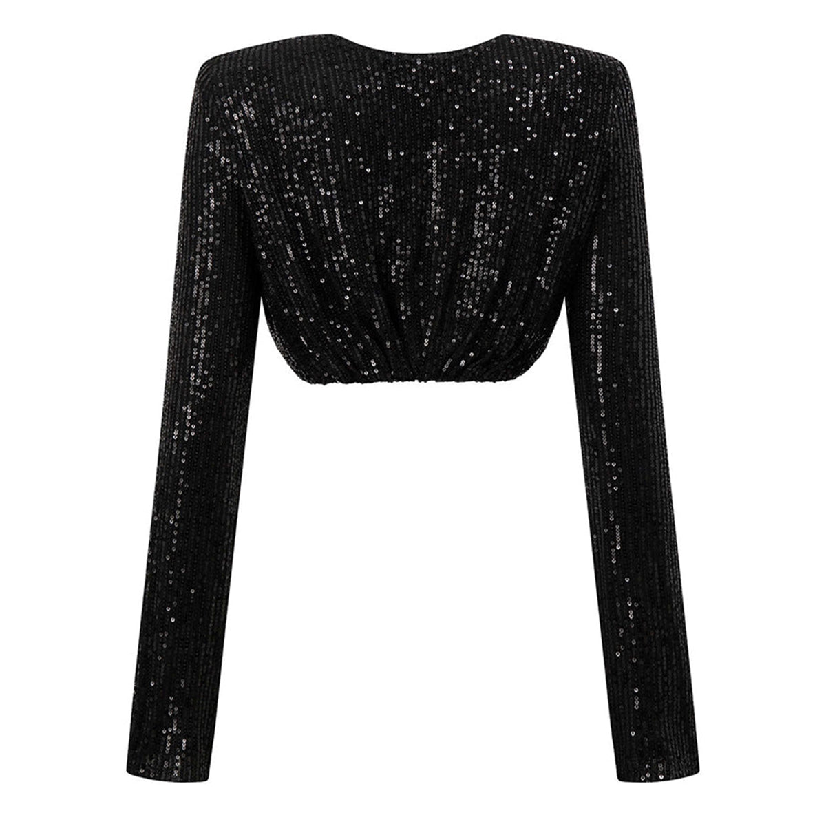 Canyon Cropped Boat Neck Sequin Top