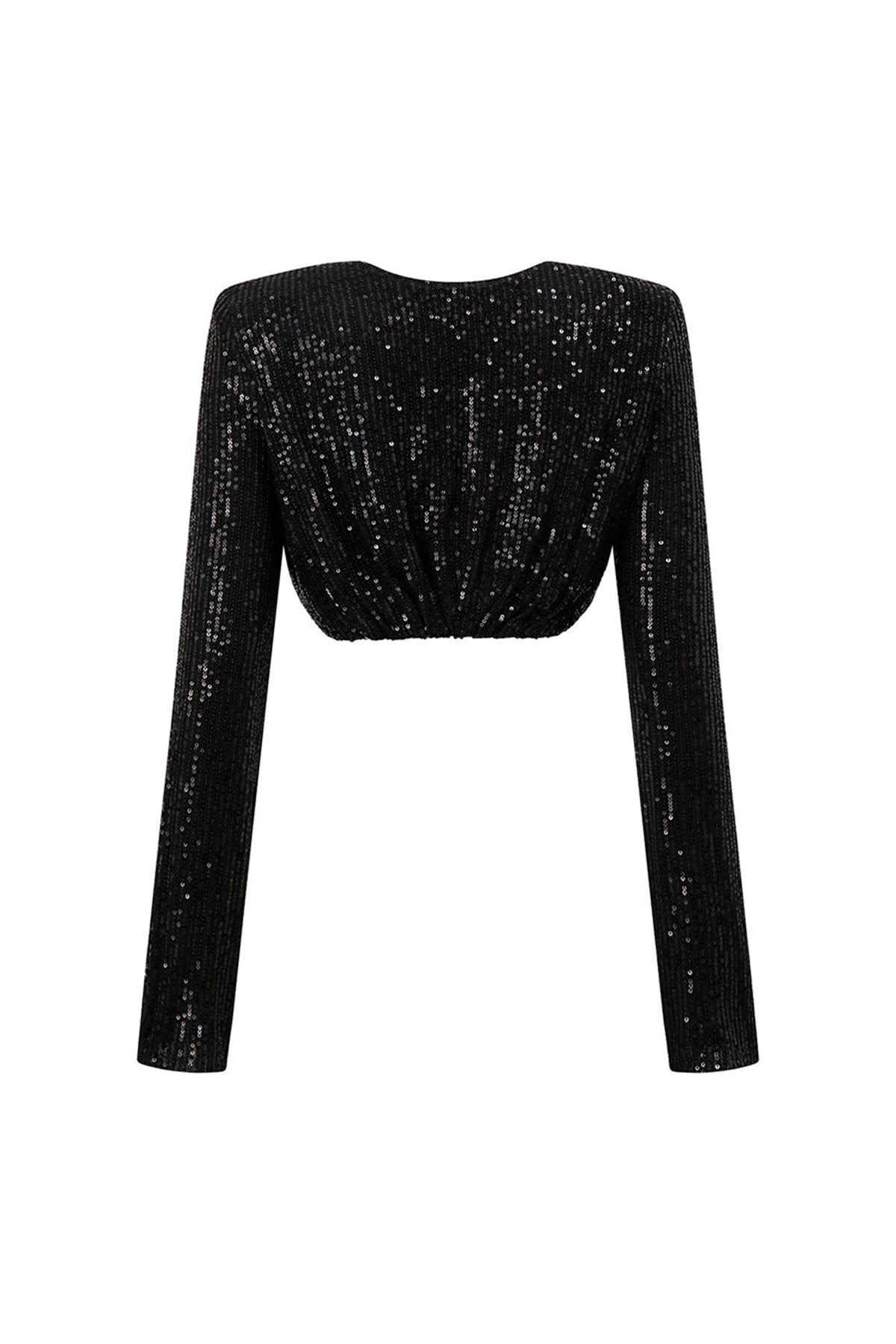 Canyon Cropped Boat Neck Sequin Top