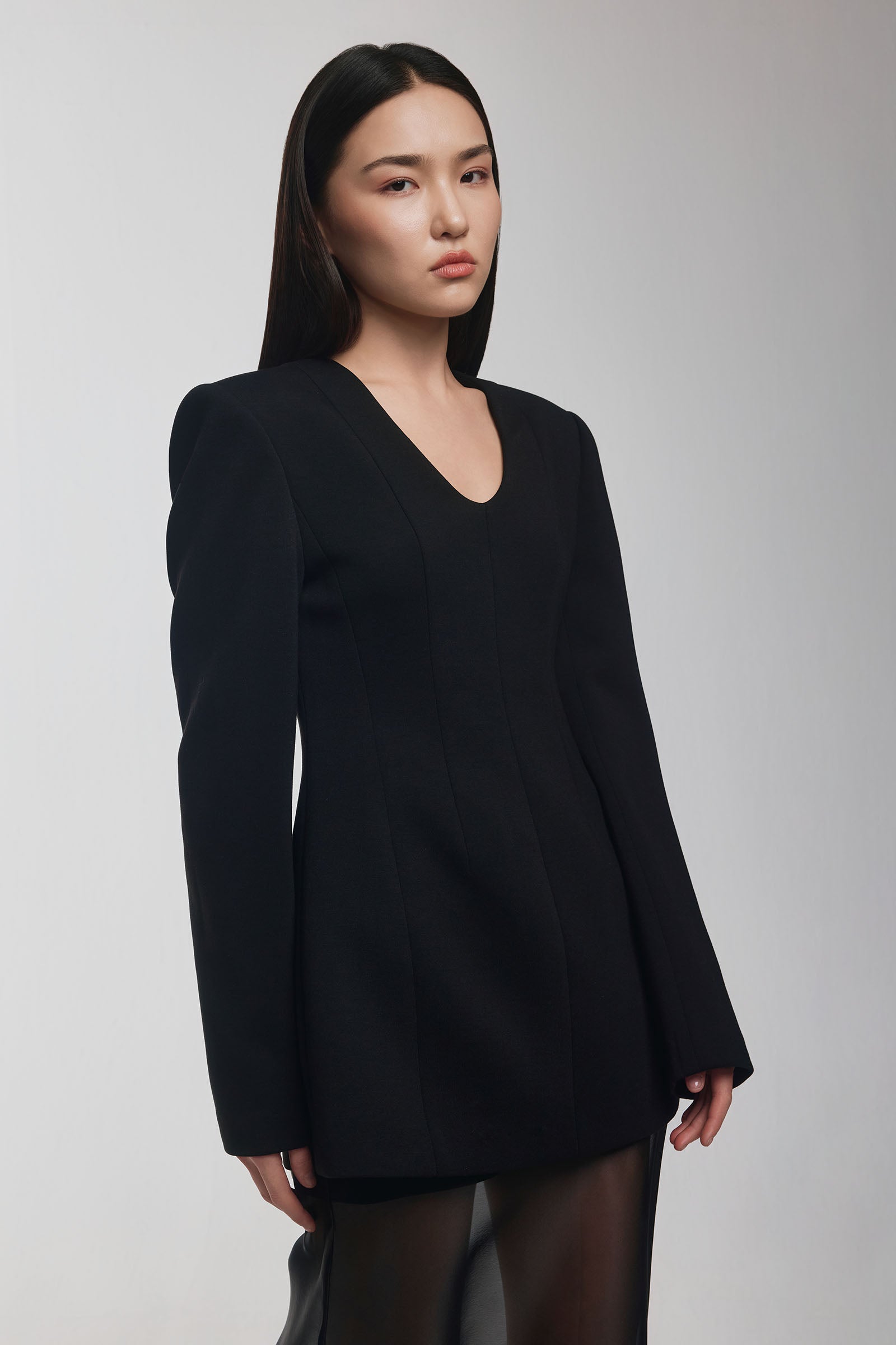 Lucian Sheath Polyester Mini Dress