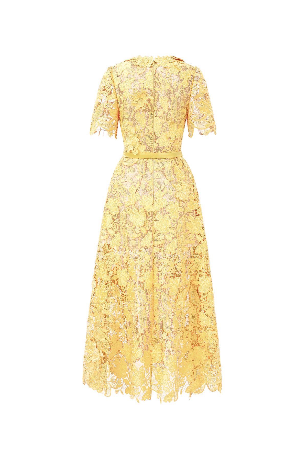 Vexa A-line Midi Dress