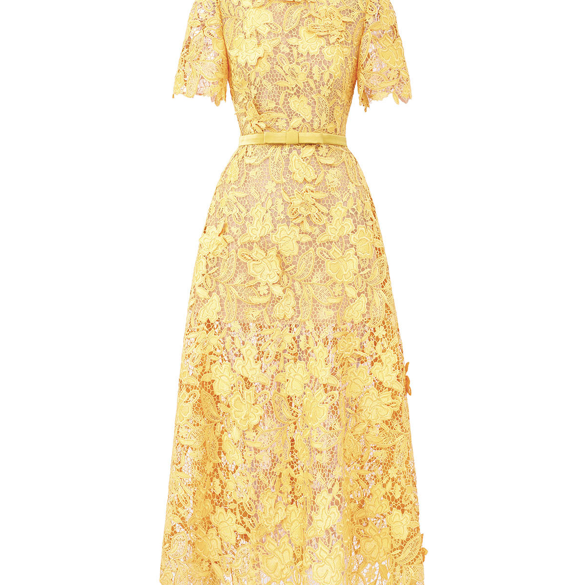 Vexa A-line Midi Dress