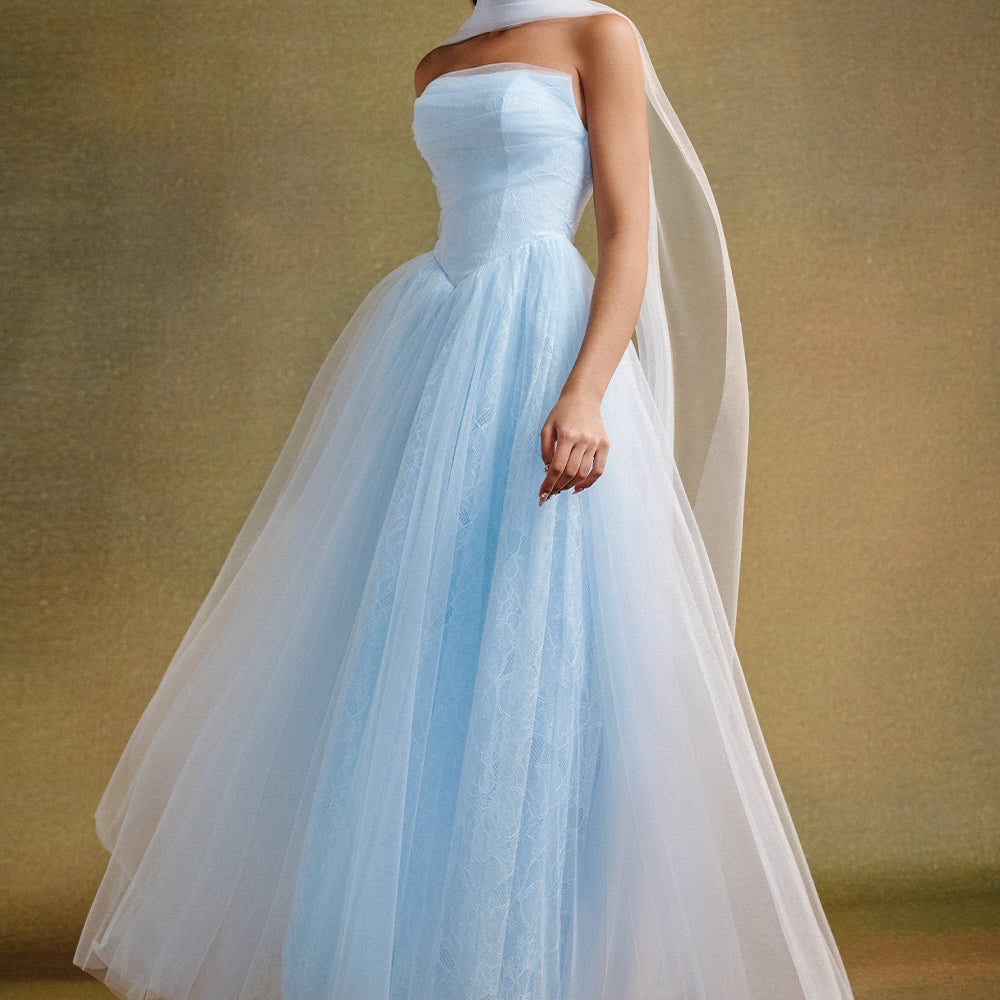 Amelia Ball Gown Gathering Maxi Dress