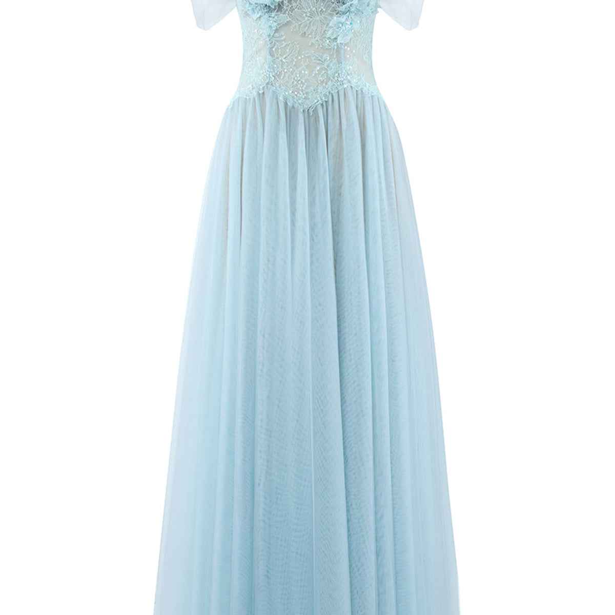 Meliora A-line Illusion Neck Mesh Lace Floor Length Dress