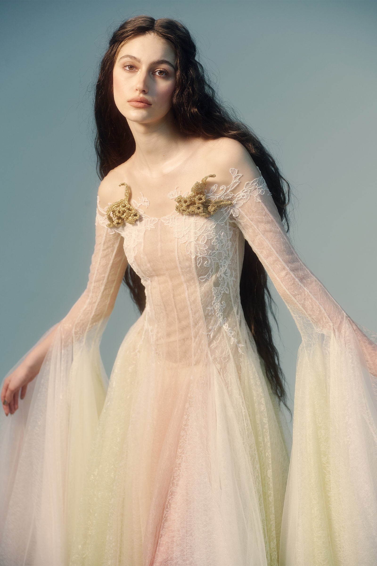 Aglaia Applique Midi Dress