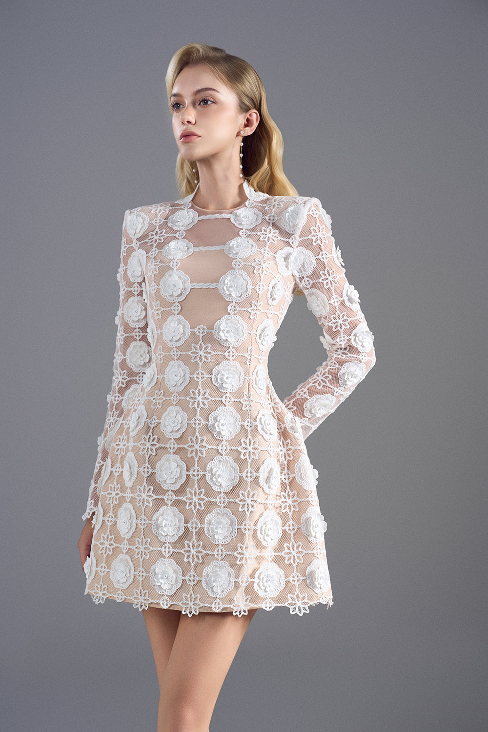 Feminine Applique Mini Dress