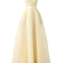 Cline Strapless Stone Organza Floor Length Dress