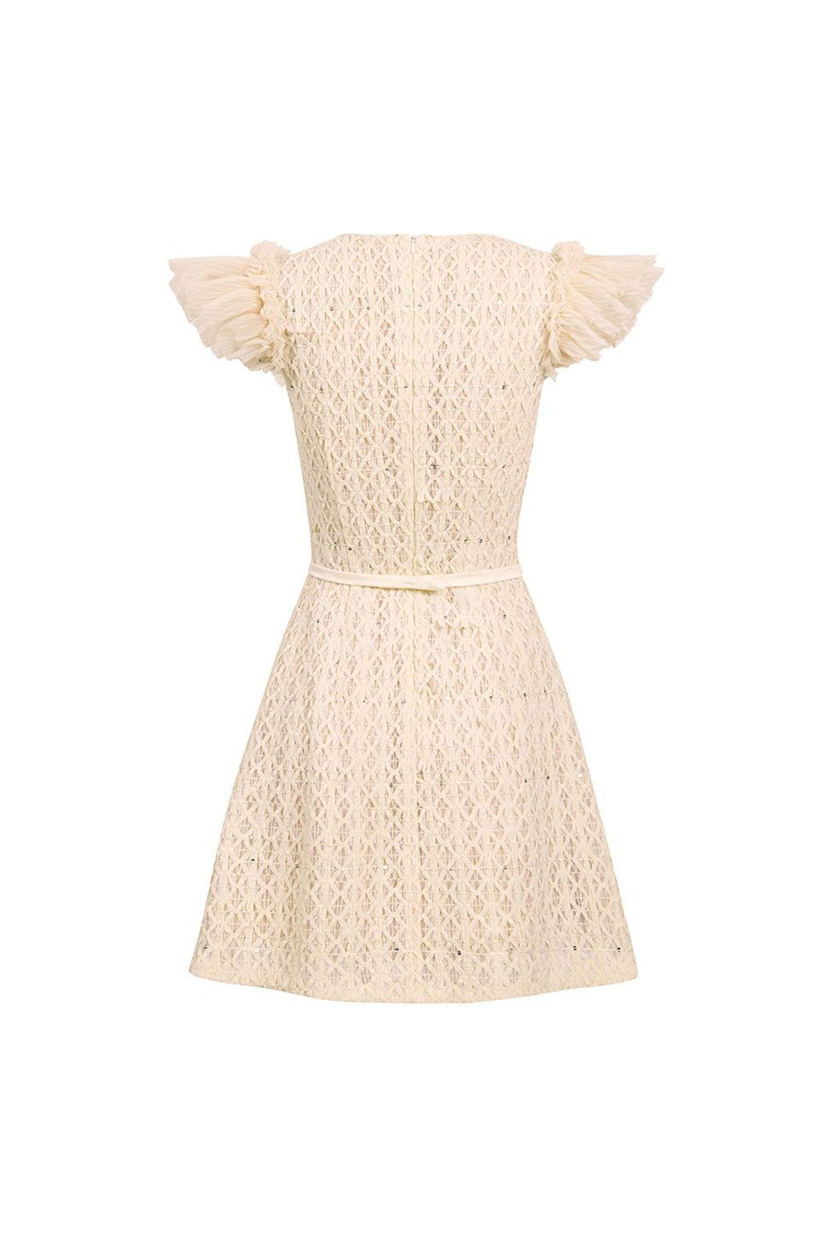 Celia A-line Cap Sleeved Mesh Lace Mini Dress