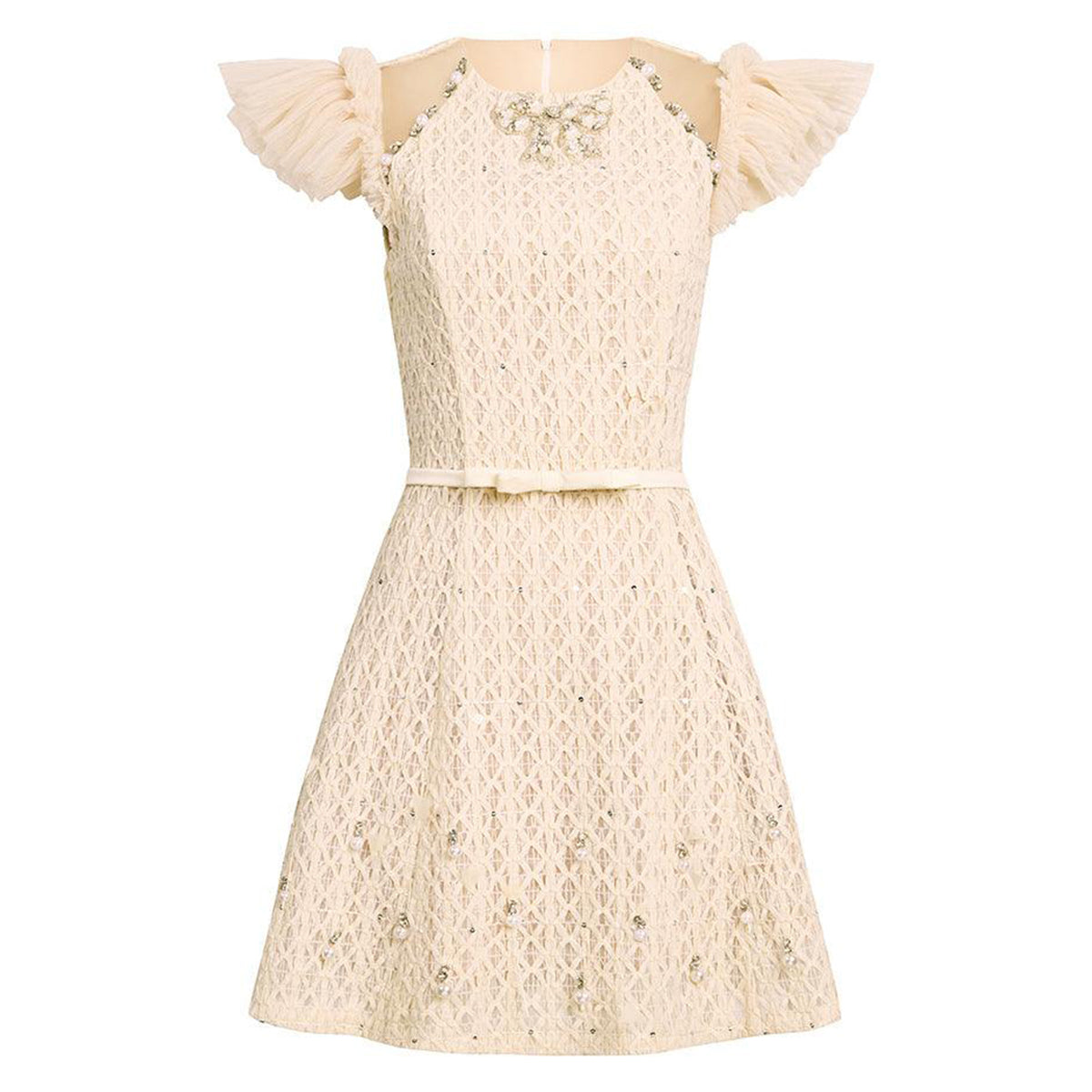 Celia A-line Cap Sleeved Mesh Lace Mini Dress