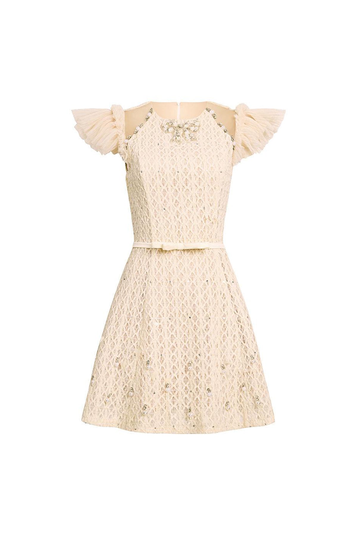 Celia A-line Cap Sleeved Mesh Lace Mini Dress