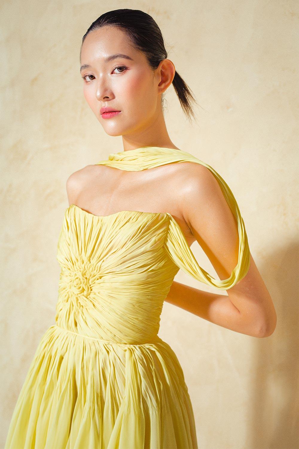 Ranunculus A-line Gathered Organza Voile Mini Dress