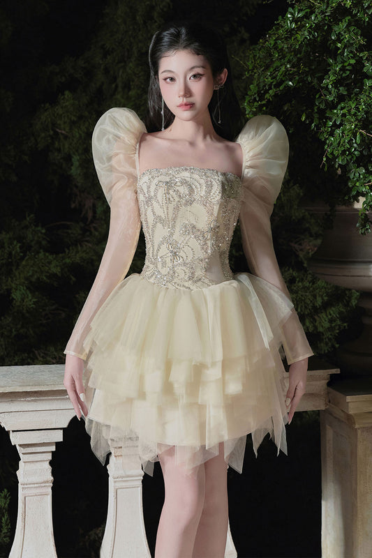 Twinkle A-line Square Neck Mesh Mini Dress