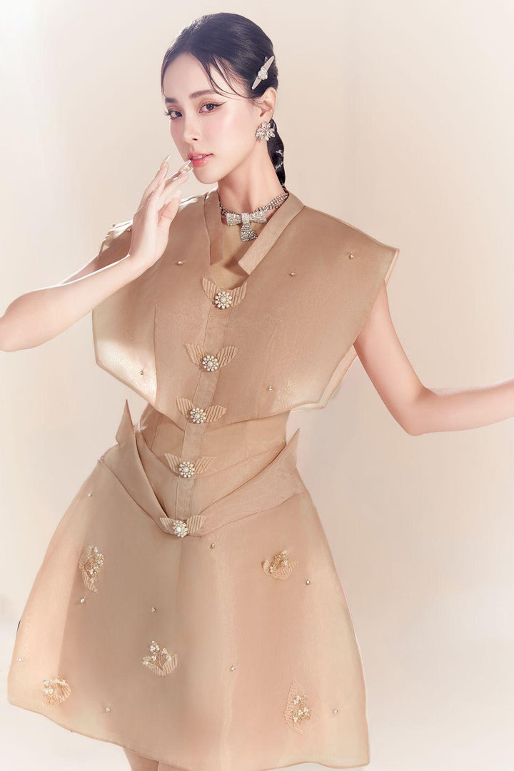 Hestiara A-line V-Neck Organza Mini Dress - MEAN BLVD