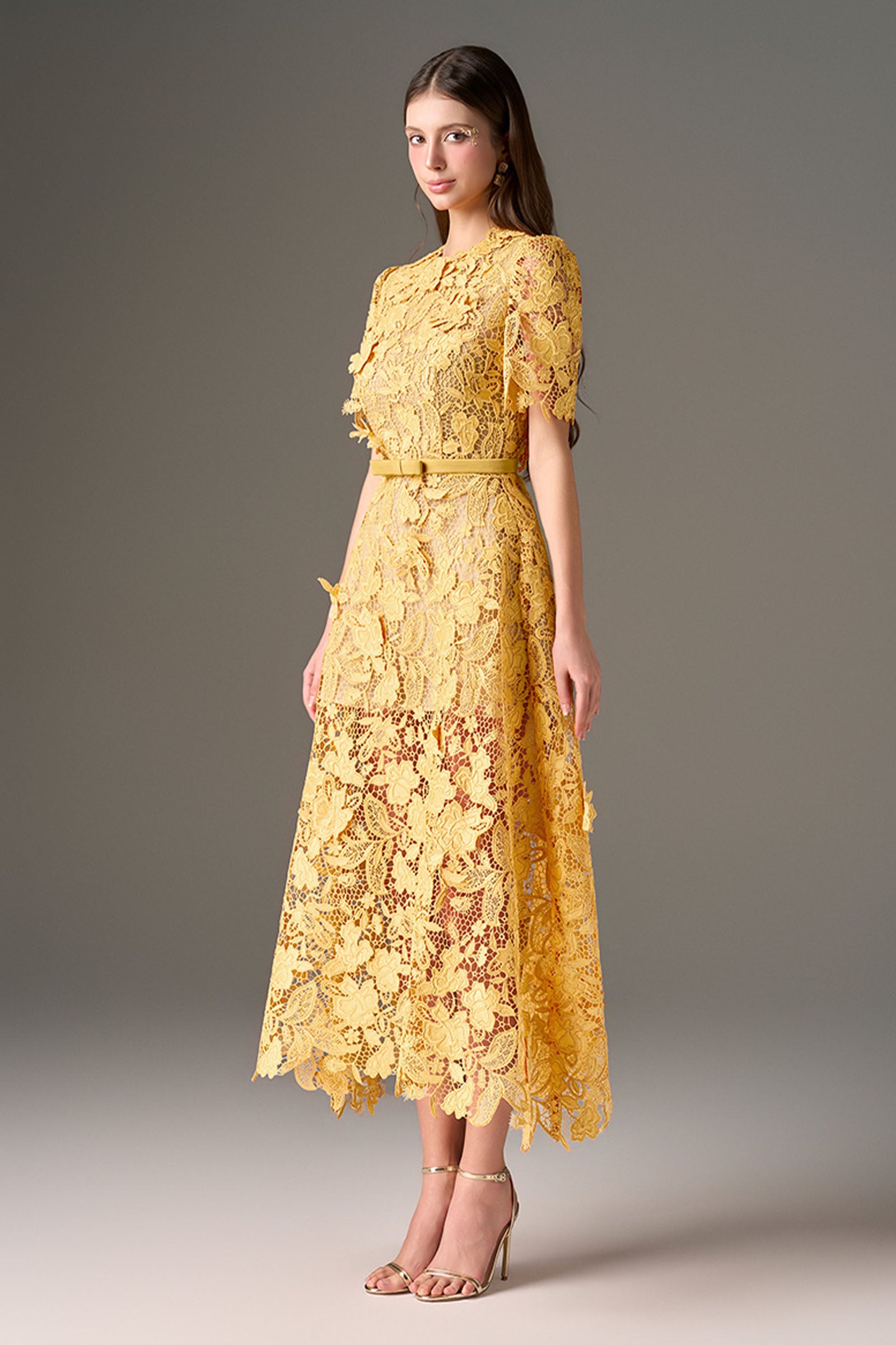 Vexa A-line Midi Dress