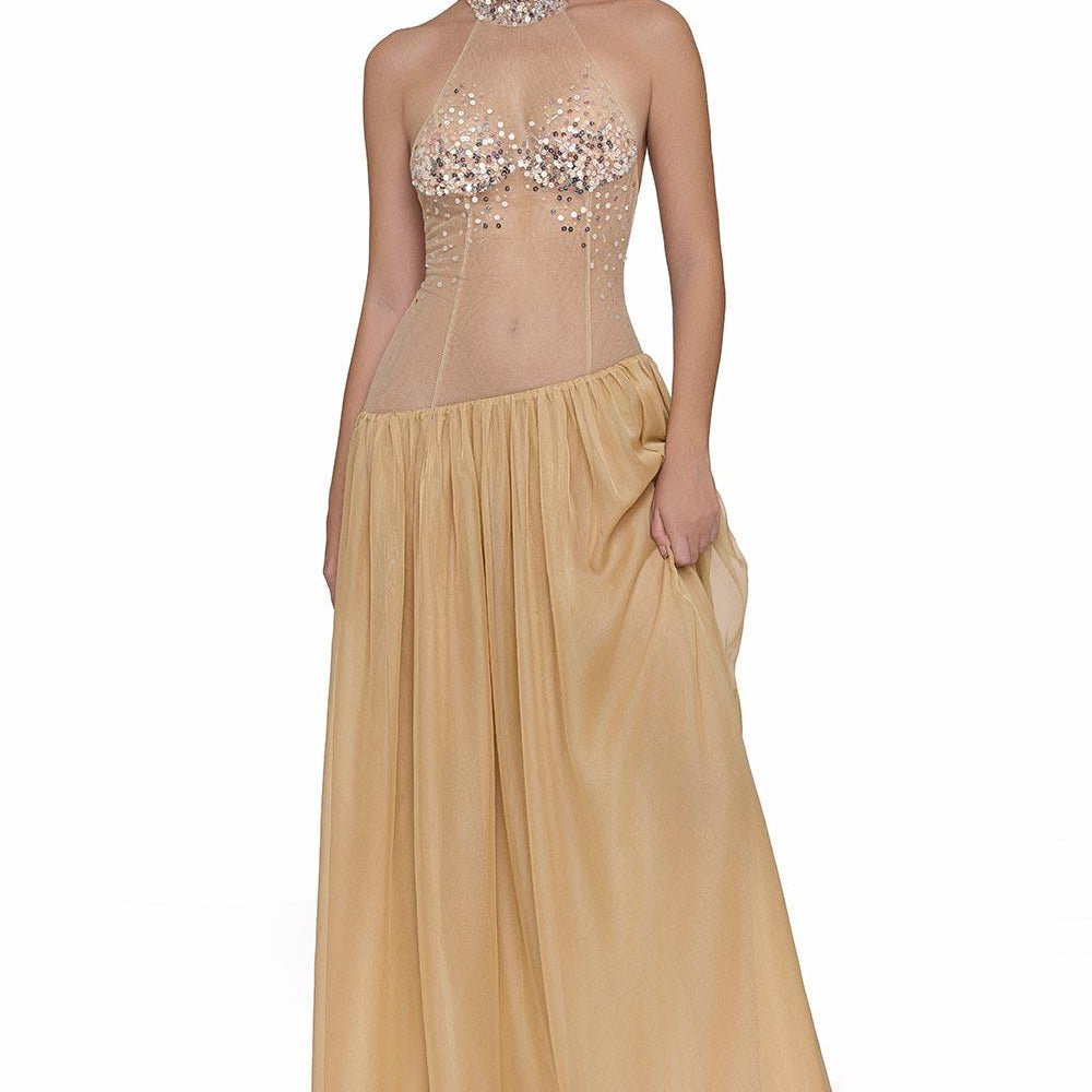 Lana Gathered See-Through Chiffon Floor Length Dress