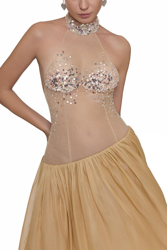 Lana Gathered See-Through Chiffon Floor Length Dress