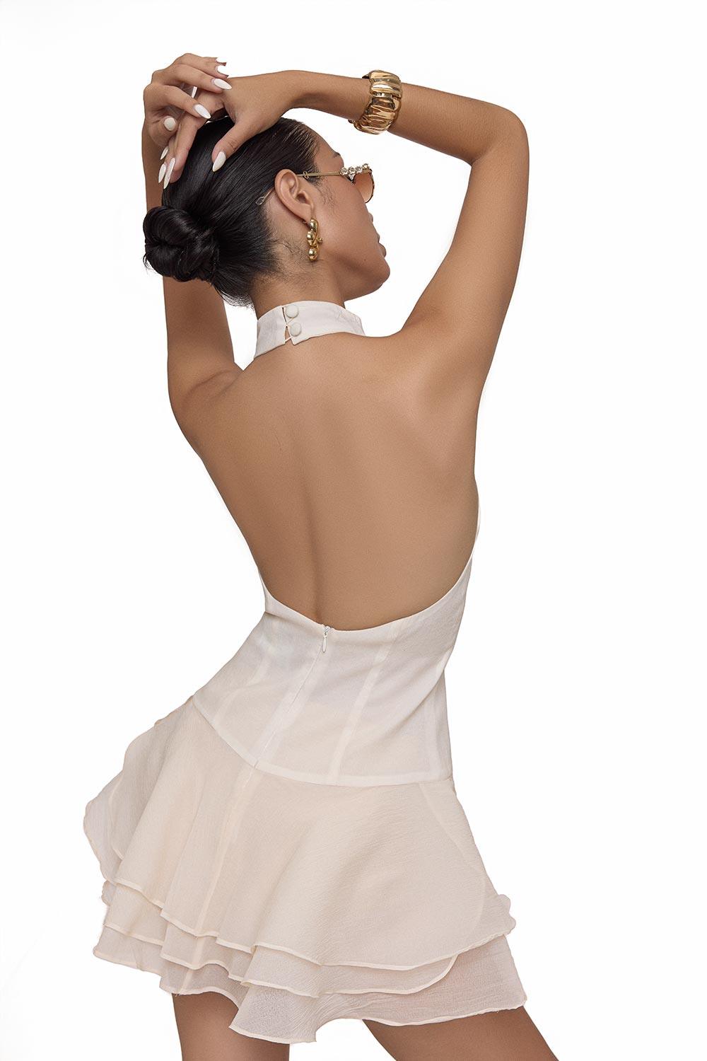 Rose Drop Waist Layered Chiffon Mini Dress