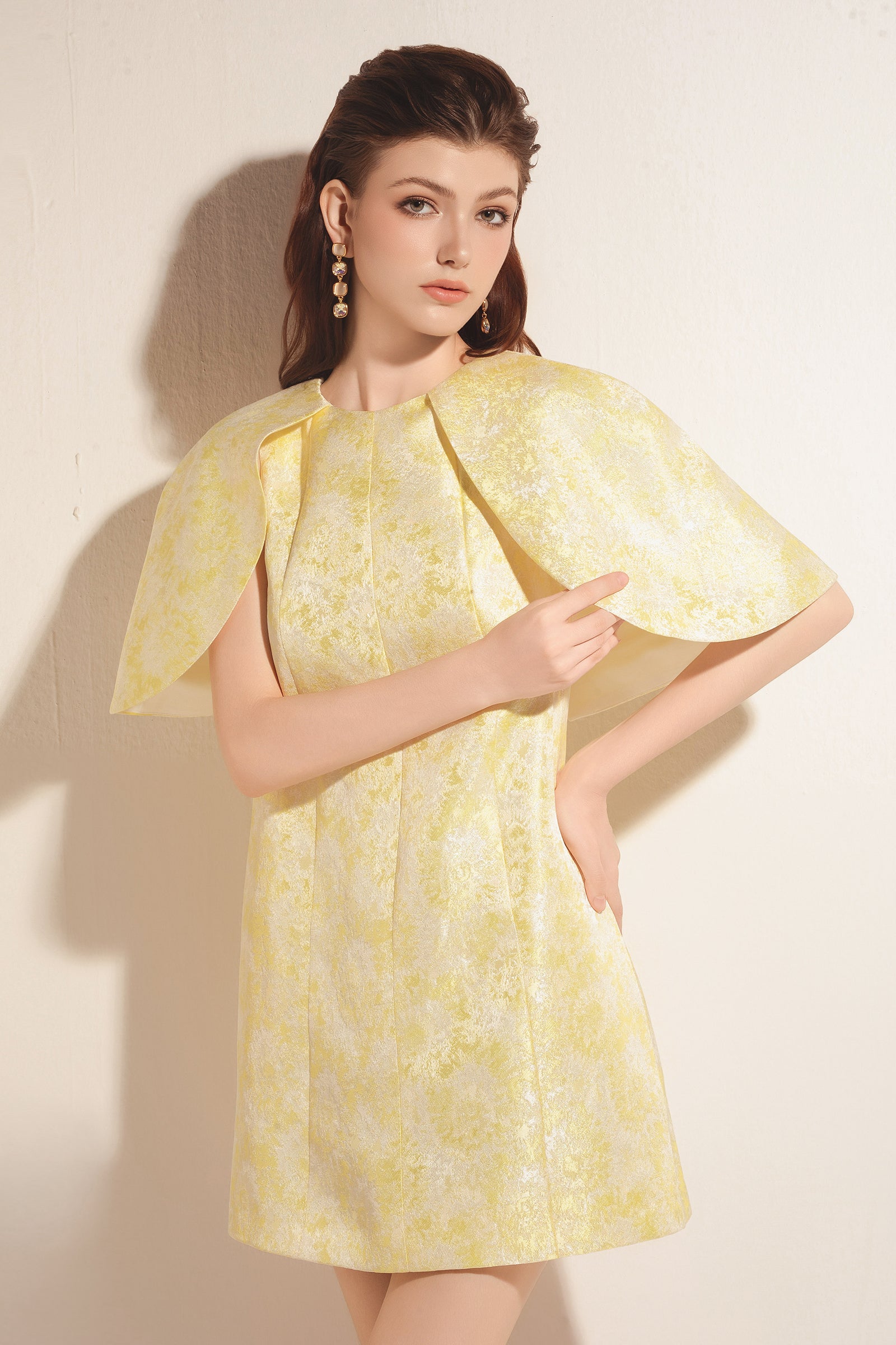 Malvaine Cape Sleeve Mini Dress