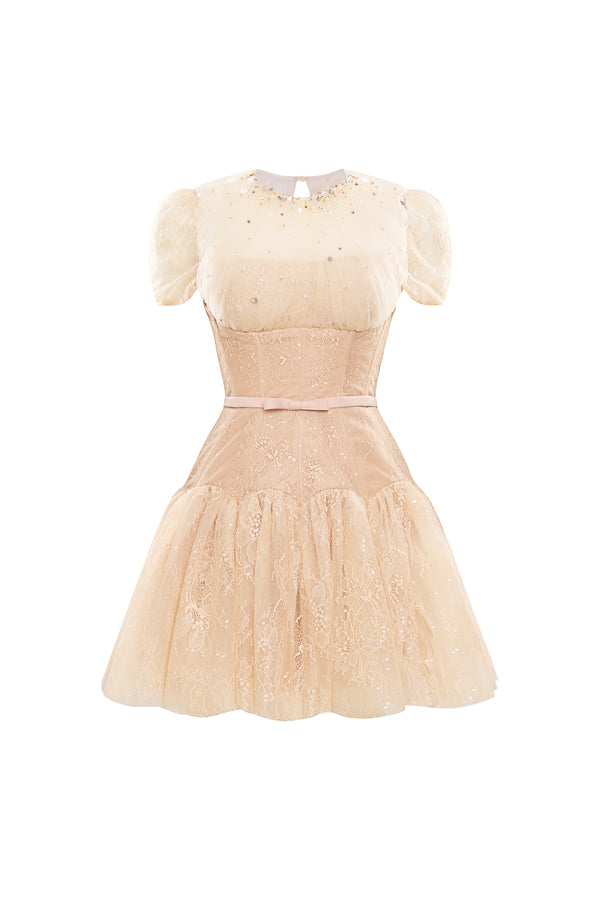 Sabine A-line Puffy Sleeved Chantilly Lace Mini Dress