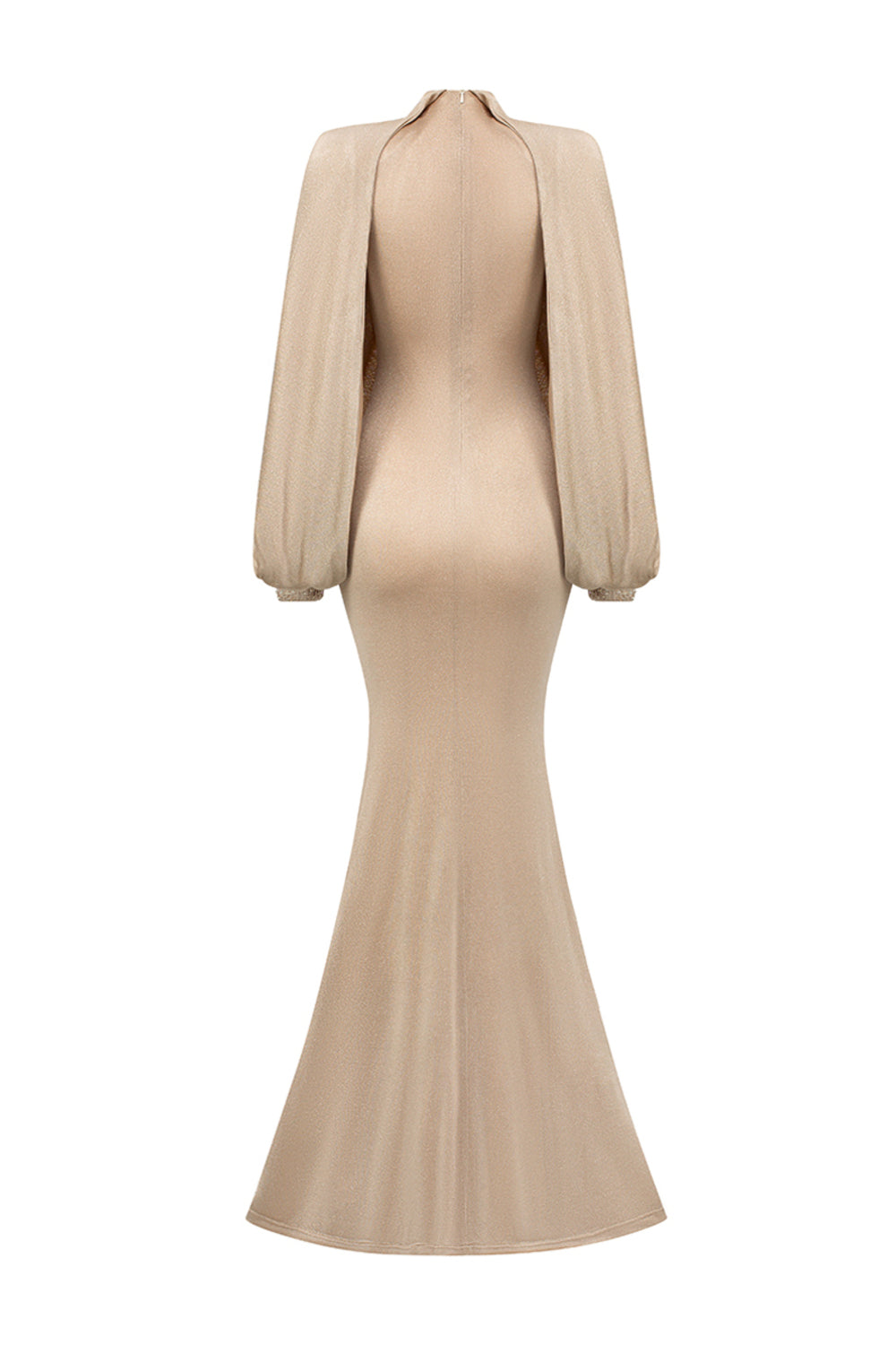 Leona Mermaid Asymmetric Sleeved Jersey Floor Length Dress