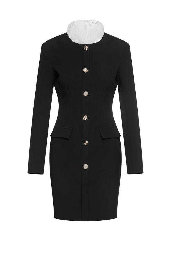 Vespera High Neck Button Mini Dress
