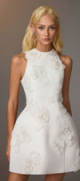 Caia Applique Mini Dress - MEAN BLVD