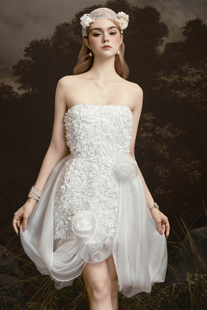 Cloudy Cape Sleeve Applique Mini Dress - MEAN BLVD