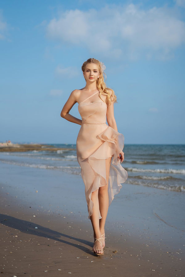 Iolan Asymmetric Sleeveless Silk Organza Midi Dress