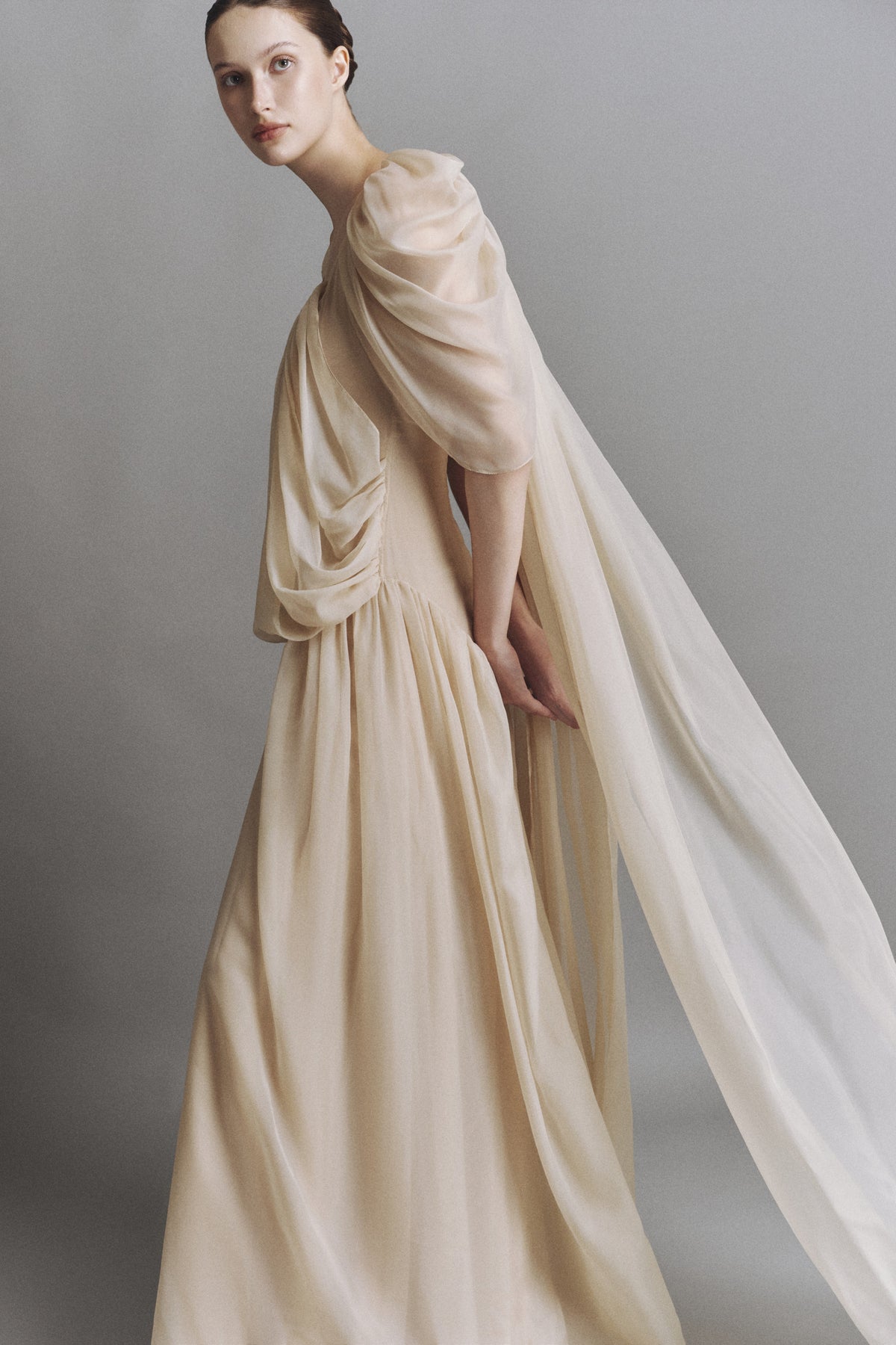 Aerial Butterfly Sleeve Maxi Dress